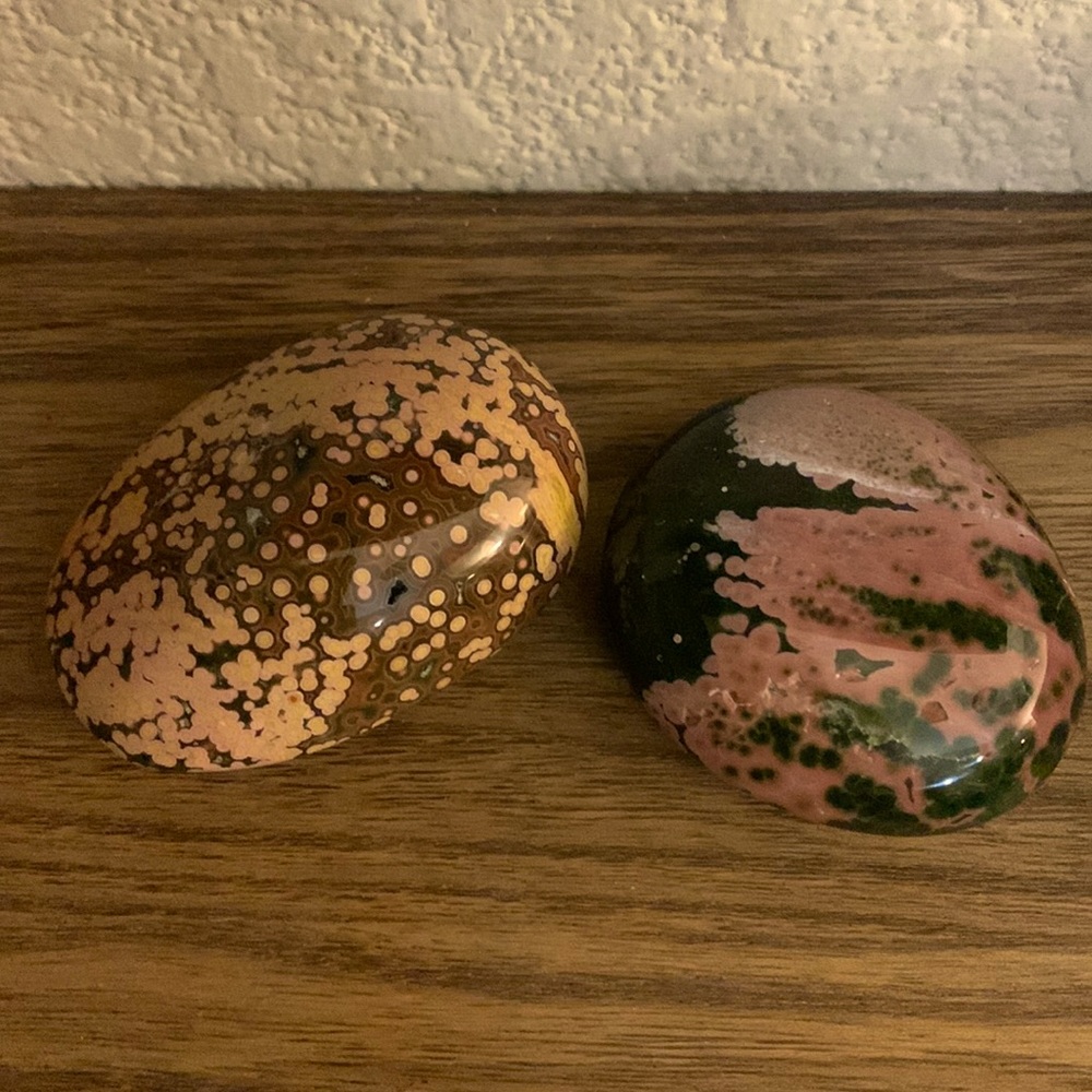 Kambaba Jasper Palms